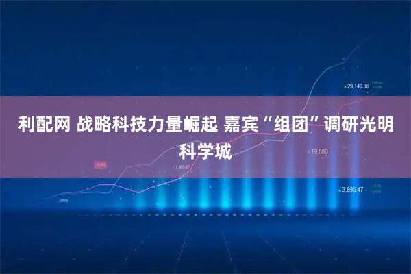 利配网 战略科技力量崛起 嘉宾“组团”调研光明科学城
